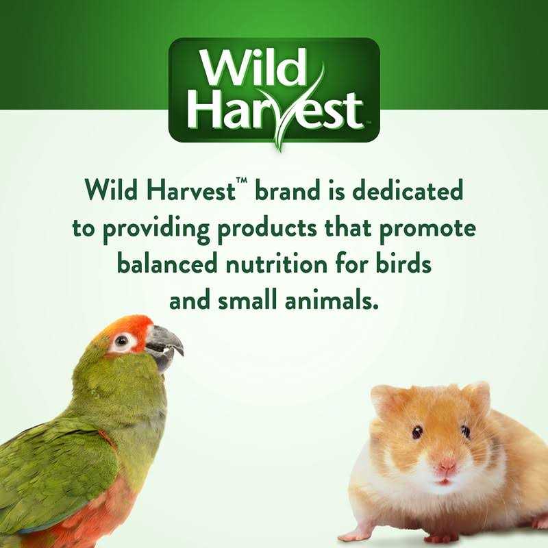 Strawberry Hut Pet Supplies O861