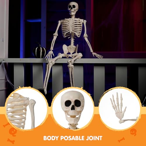 36" Posable Hanging Skeleton R56255