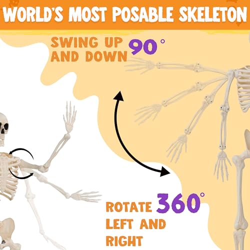 36" Posable Hanging Skeleton R56255