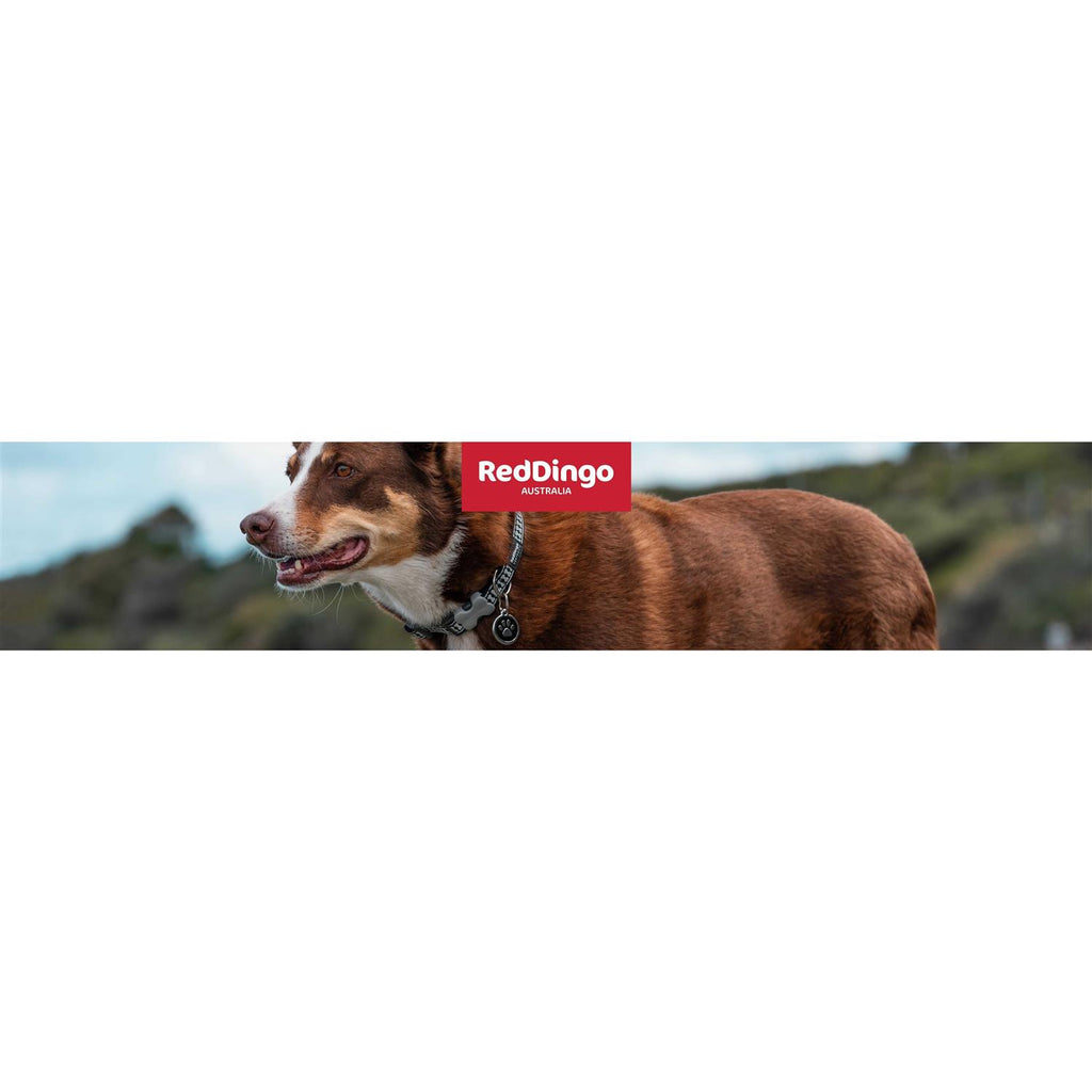 Reflective Dog Lead Y101