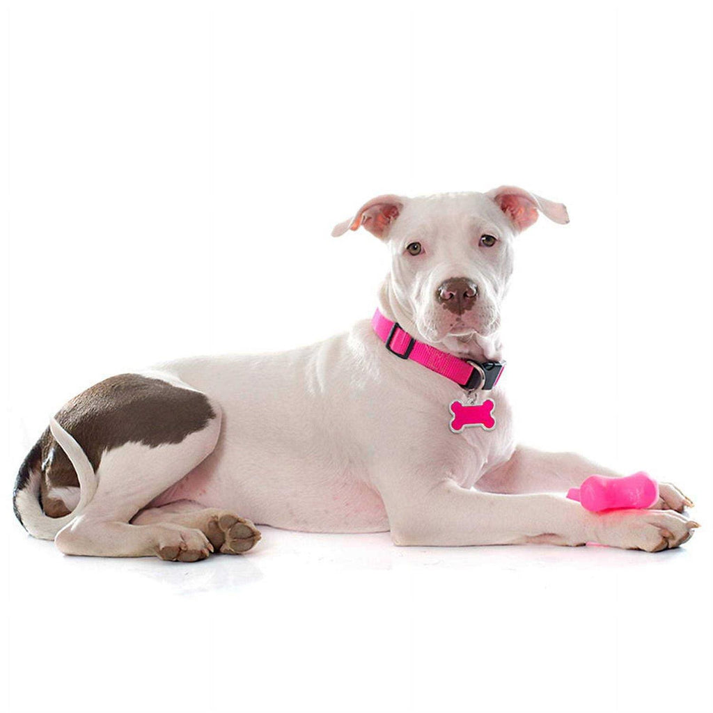 Personalized Dog ID Tag Z174