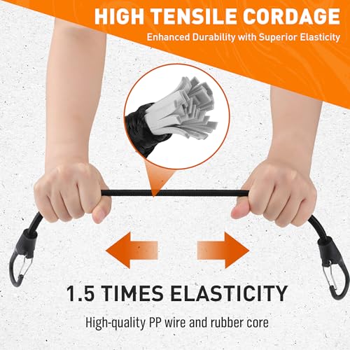 31-Piece Bungee Cords Assortment R395855