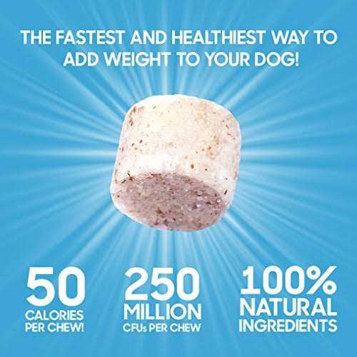Power Chews for Weight Gain G744