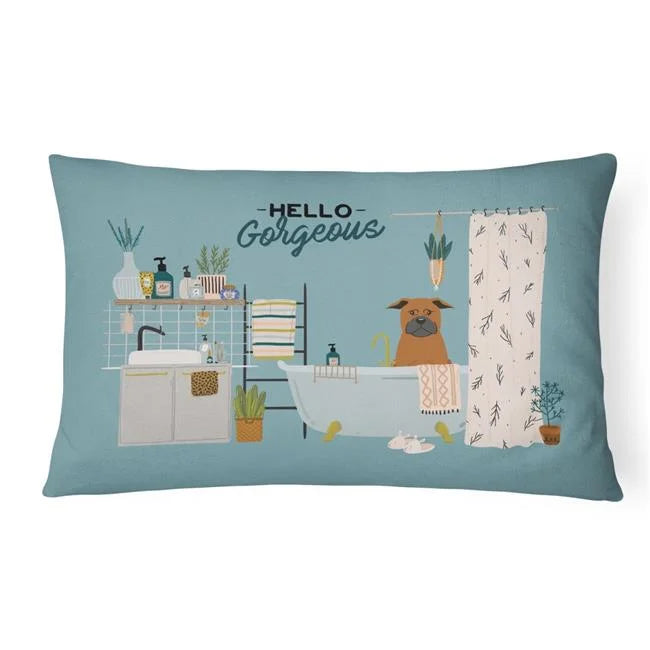 Canvas Fabric Decorative Pillow C955
