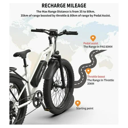 Electric Mountain Bike 750W 48V 13AH Fat Tire J67542