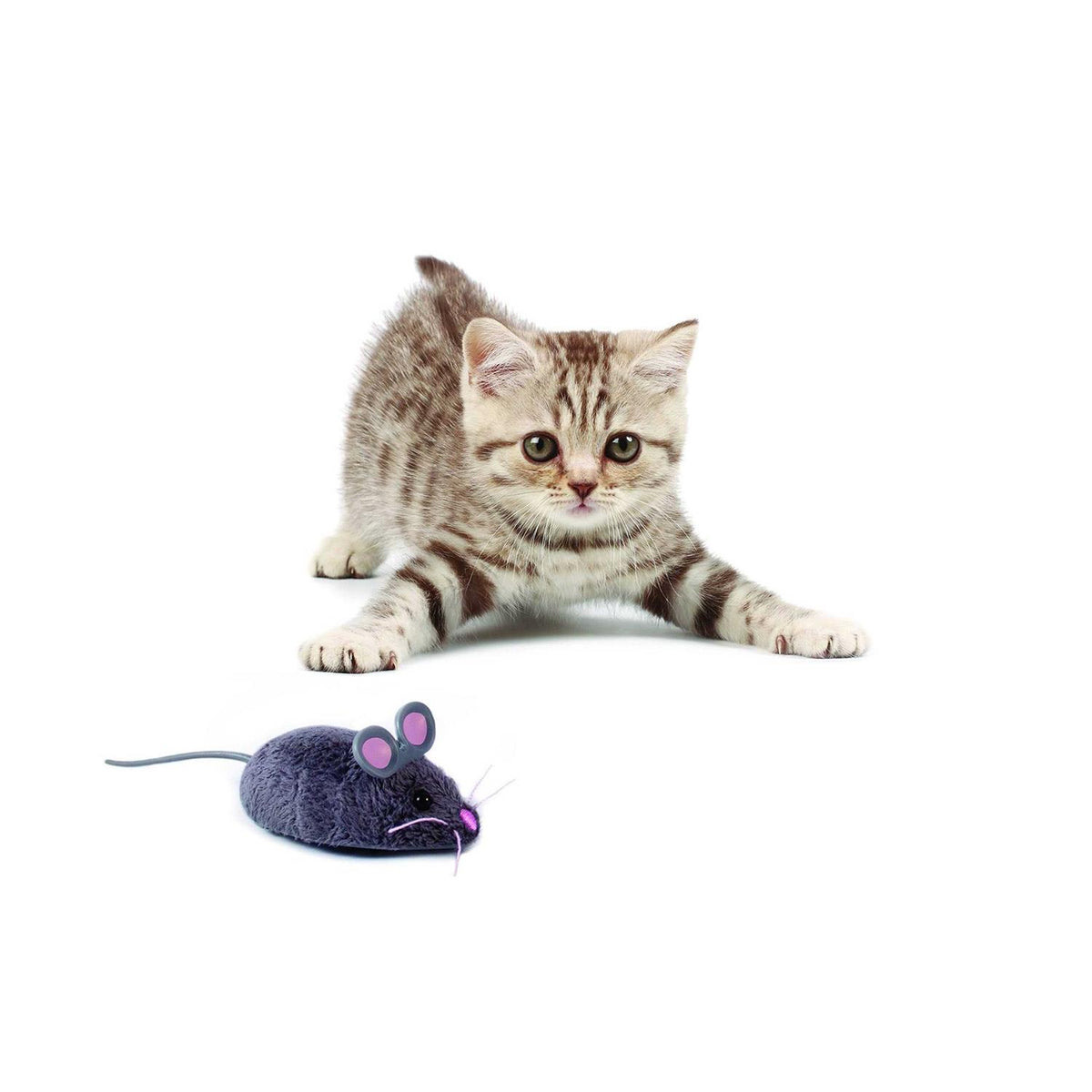 Robotic Cat Toy D202285