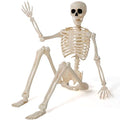 36" Posable Hanging Skeleton R56255