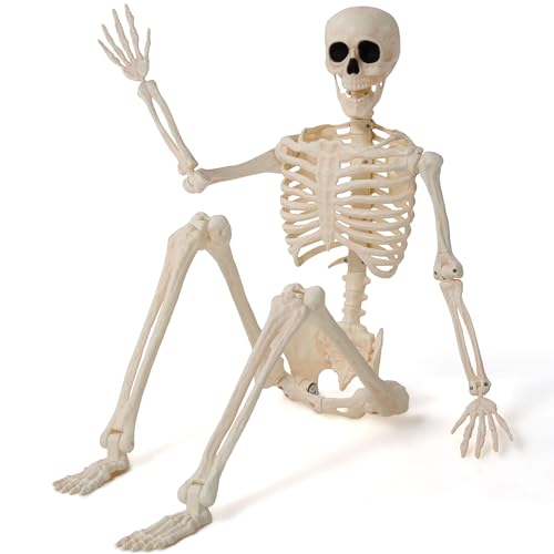 36" Posable Hanging Skeleton R56255