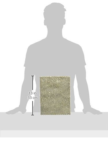 Water Panel Humidifier Filter Replacement Pack of 2 D61721