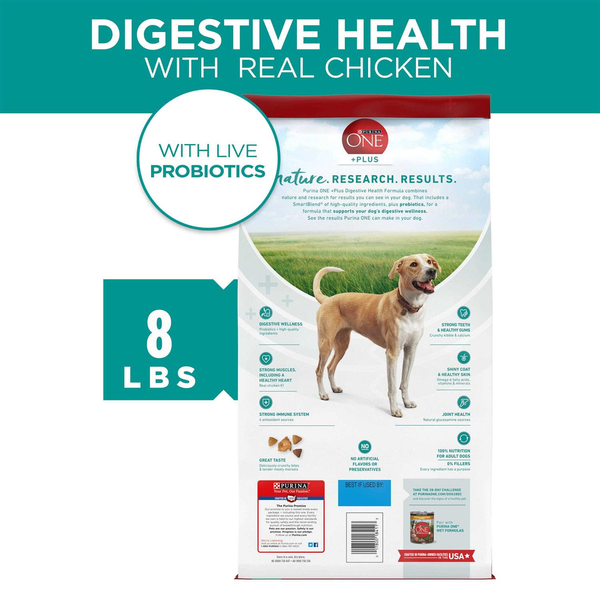 Dry Dog Food T3992