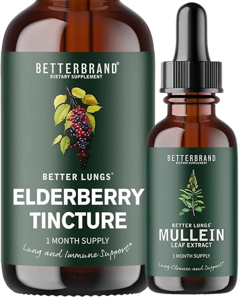 Mullein Leaf Extract and Elderberry Tincture X226253
