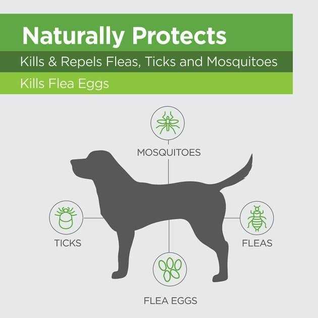 Flea & Tick Topicals for Dogs X832850