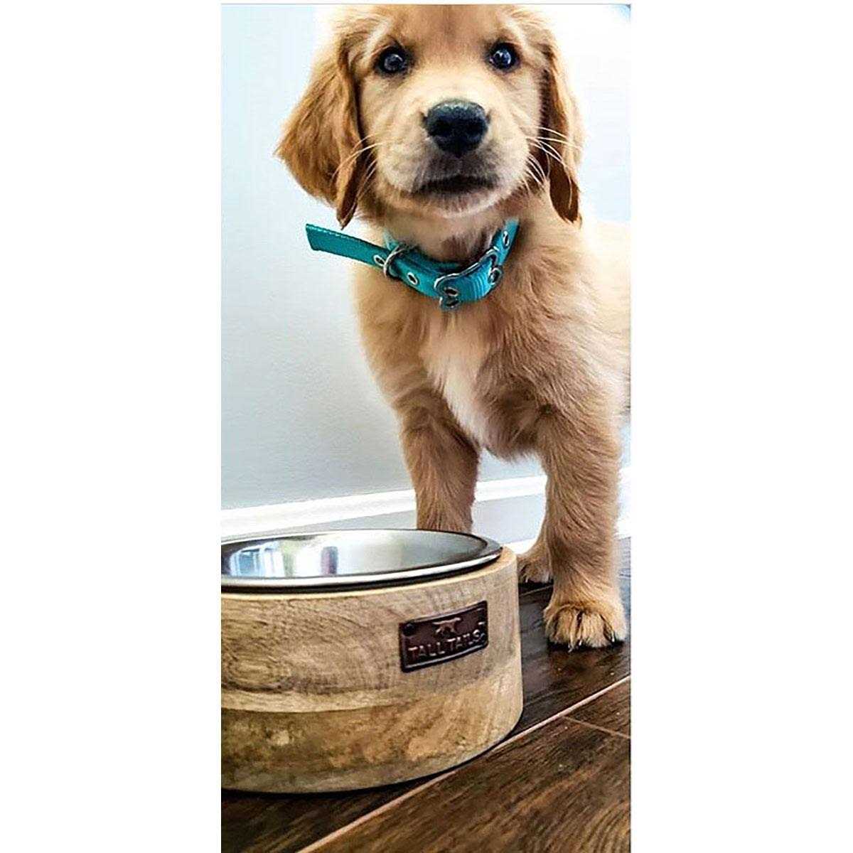 Wood Dog Bowl M9310