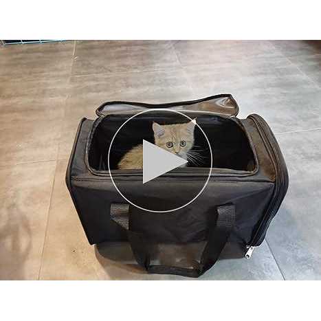 Black 2In 1 Foldable Cat Litter Box O53892