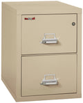 2 Drawer Letter Vertical Fireproof File Cabinet R91612