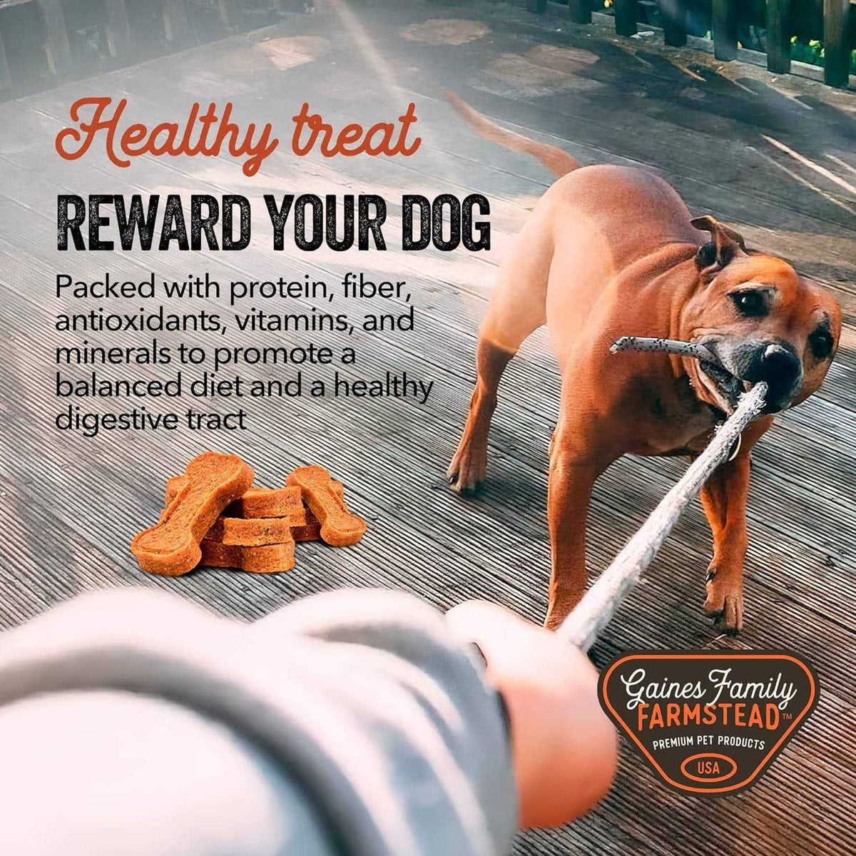 Sweet Potato Bones Dog Y51106