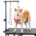 Dog Grooming Table Arm with Clamp and Post I952