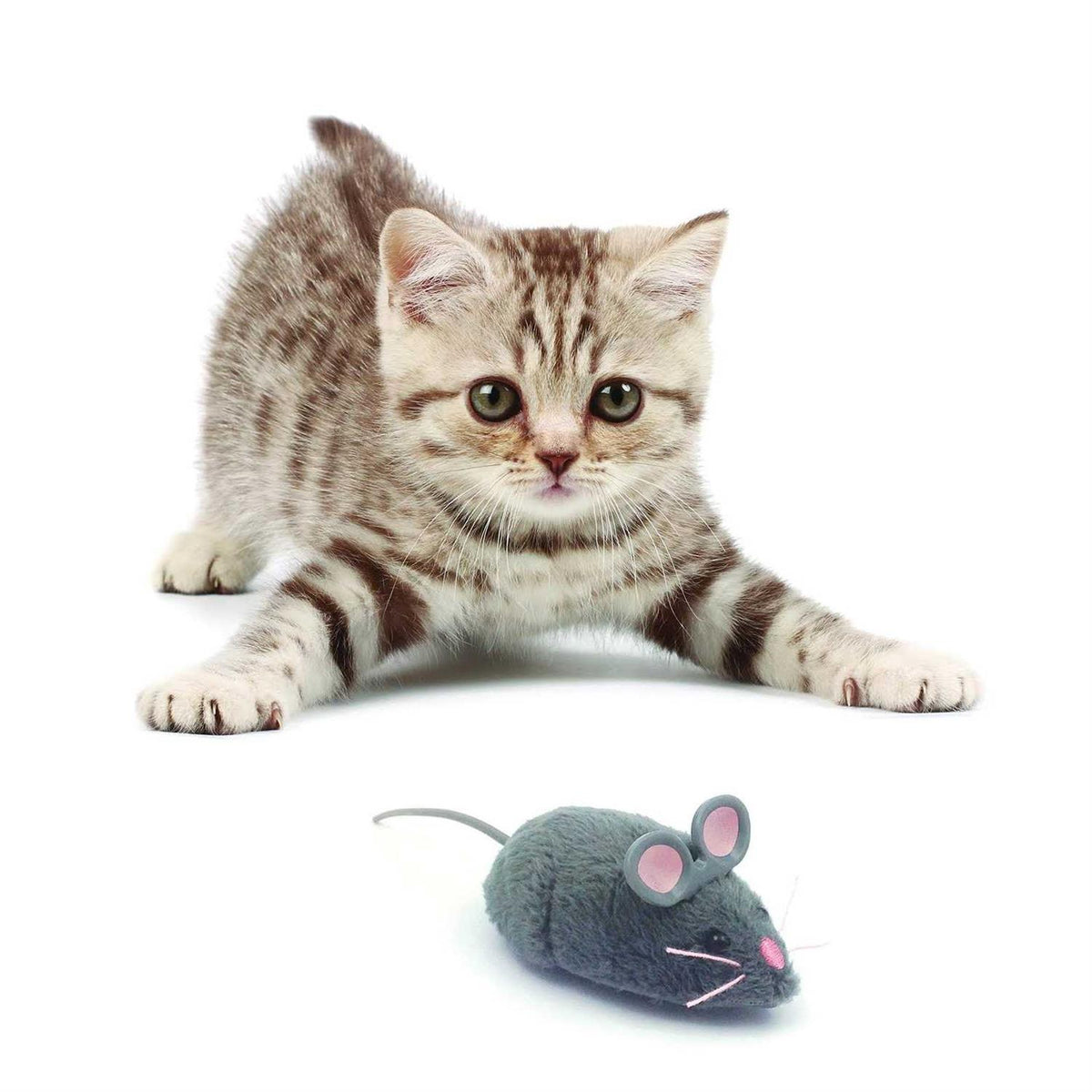 Robotic Cat Toy D202285