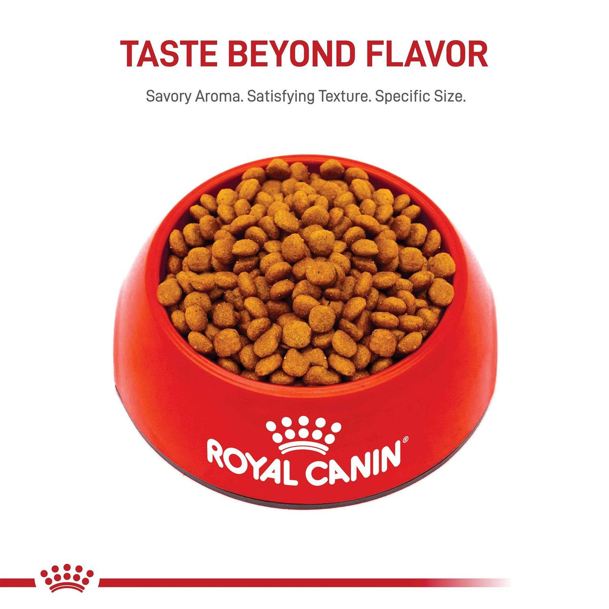 Miniature Schnauzer Puppy Dry Dog Food M996