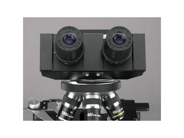 Biological Compound Microscope 40X-1600X M494173