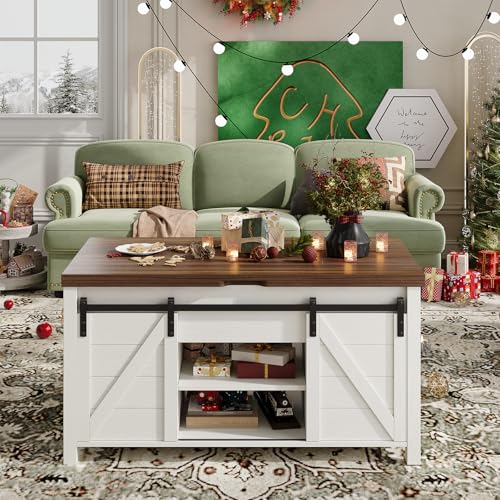 White and Brown Lift Top Coffee Table with Hidden Storage M170