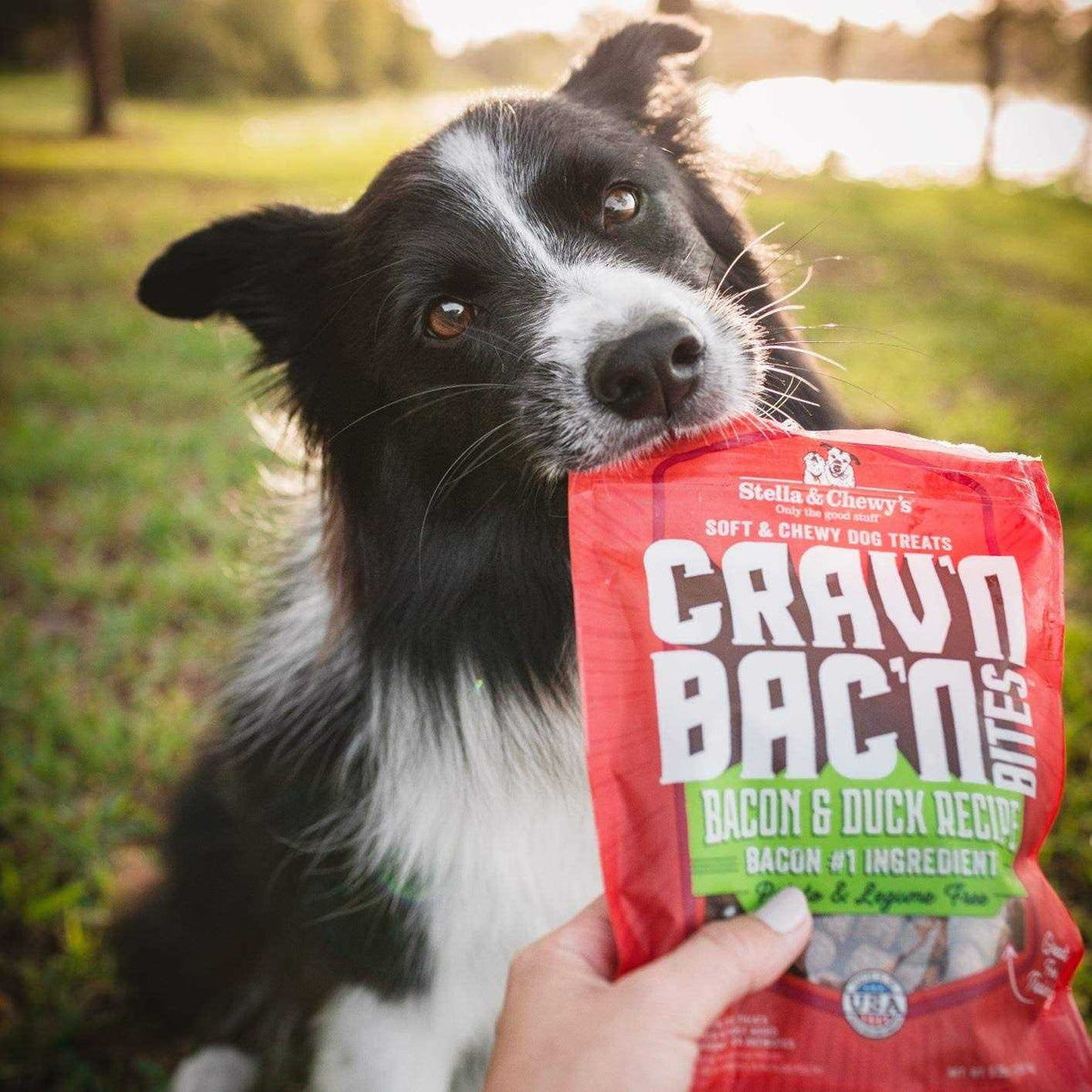 Bacon Dog Treats U44166