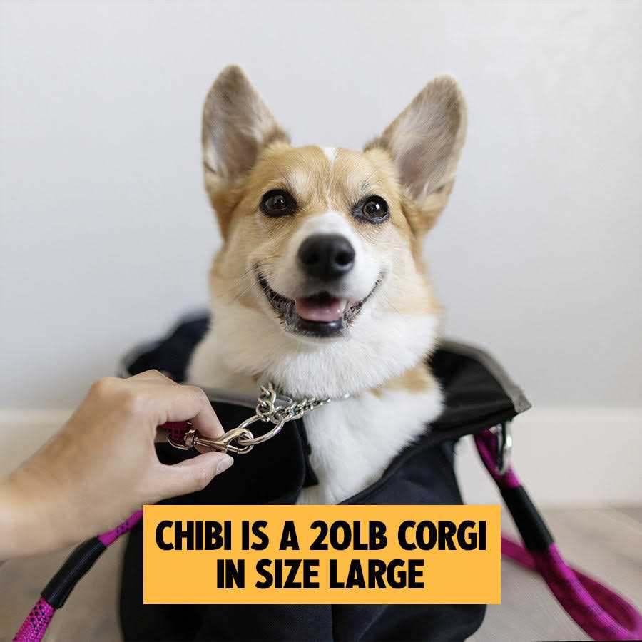 Pet Tote P3598