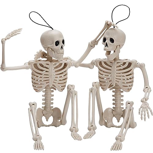 36" Posable Hanging Skeleton R56255