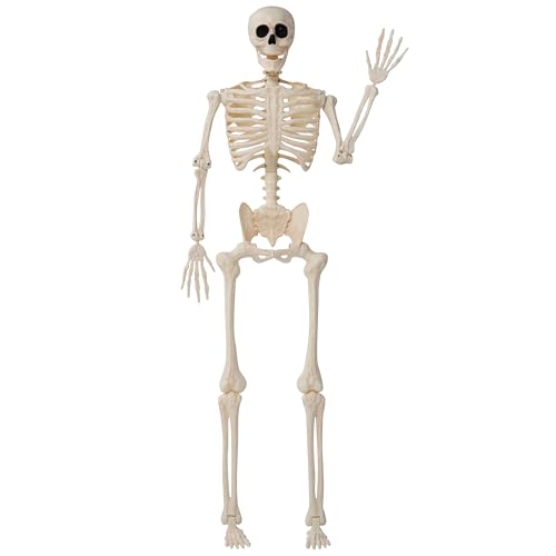 36" Posable Hanging Skeleton R56255