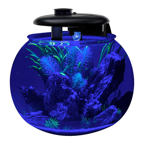 10 Gallon Bowl-Shaped Aquarium E1557
