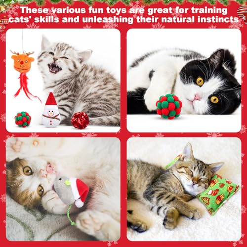 11 Pc Christmas Cat Toys Variety Pack with Cat Teasers A3877
