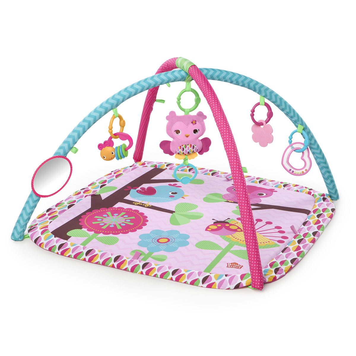Pink Activity Gym V459895