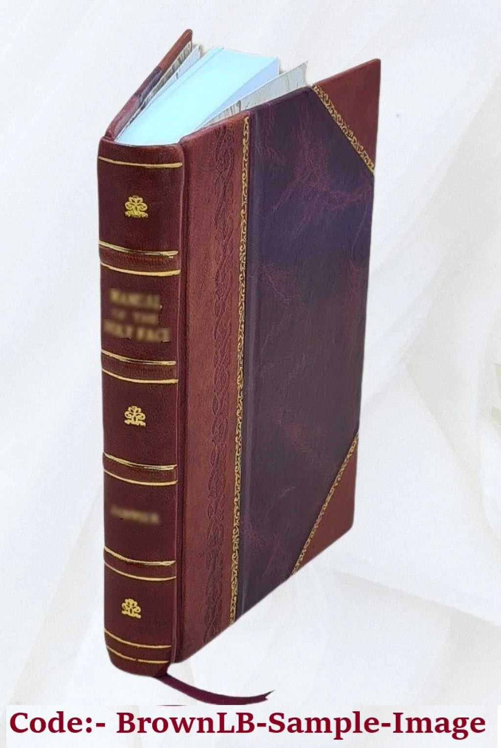 Irish Tales [Leather Bound] P805668