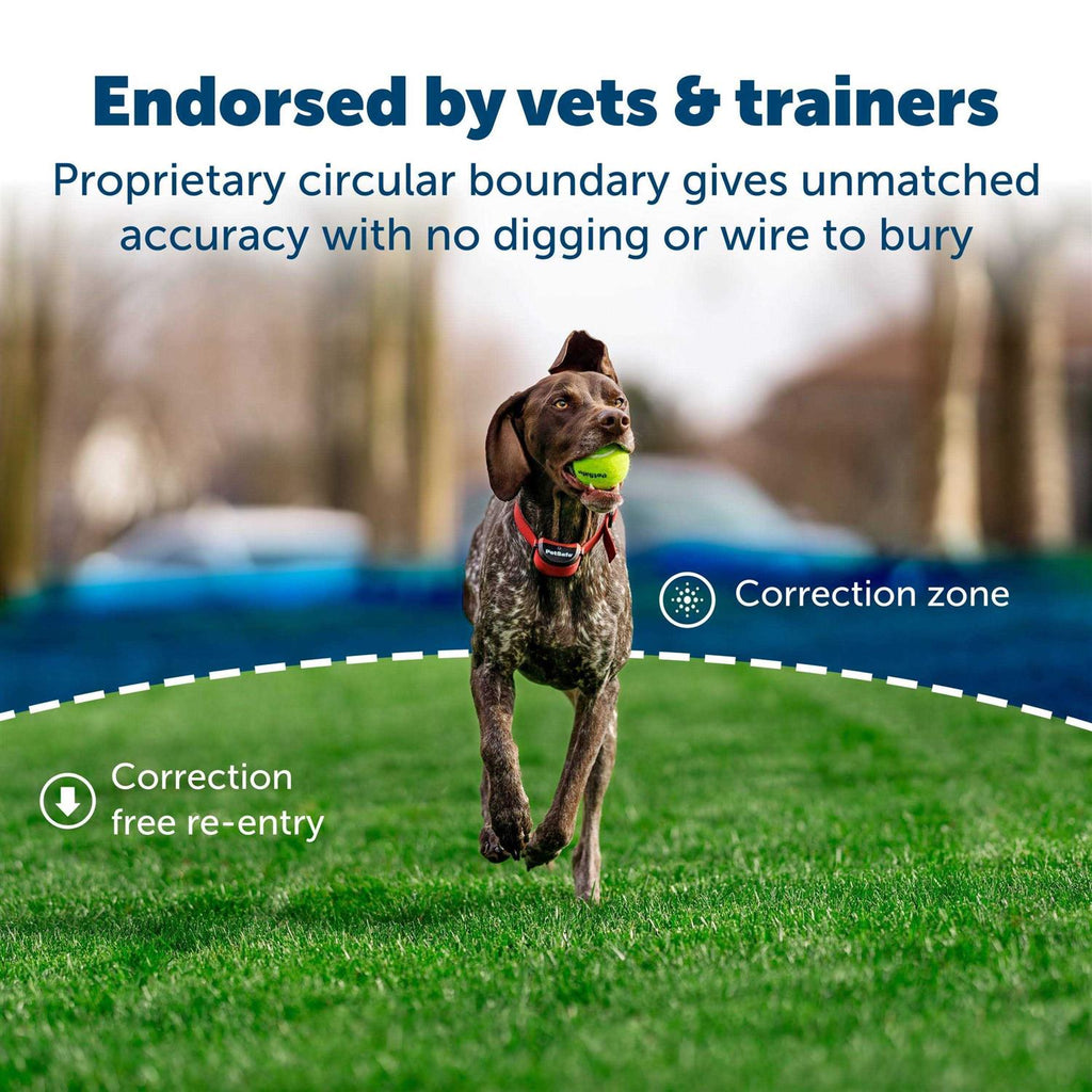Wireless Fence for Dogs E975276
