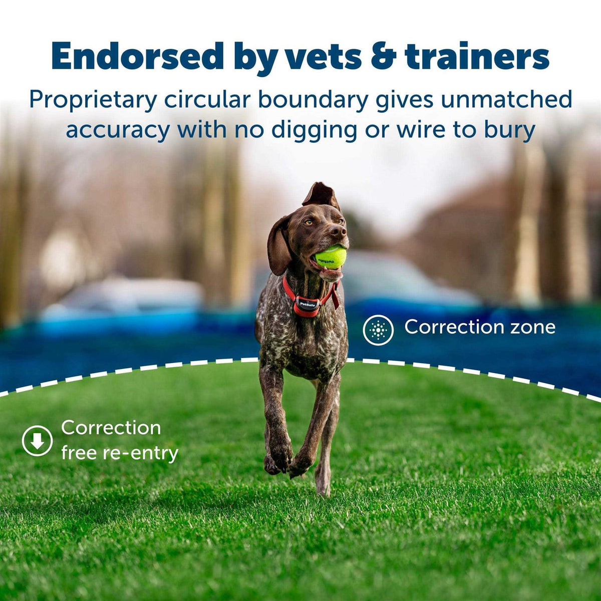 Wireless Fence for Dogs E975276