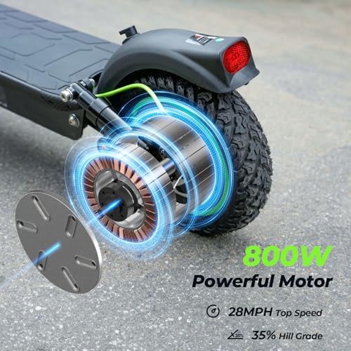 800W 10 Inch Tires Foldable Electric Scooter U811